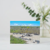 翼を乾かすすばらしい鳥 ポストカード (スタンド正面)