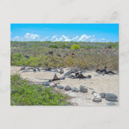 翼を乾かすすばらしい鳥 ポストカード