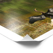 翼を乾燥させるアナヒガ フォトプリント            (角)