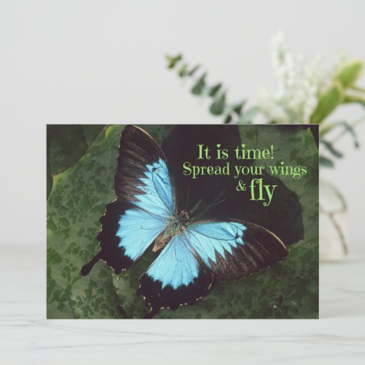 翼を広げて蝶を飛ぶ (スタンド正面)