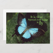 翼を広げて蝶を飛ぶ (正面/裏面)