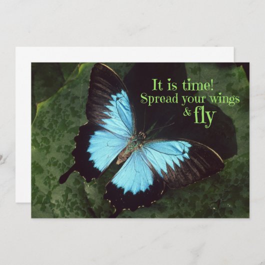 翼を広げて蝶を飛ぶ (正面/裏面)