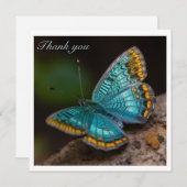 翼を広げる青い蝶のカスタマイズ可能 (正面/裏面)