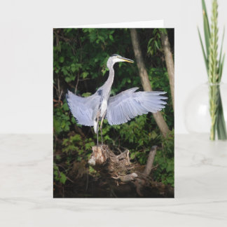 翼を広げる カード