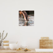 翼を広げろ_ ポスター (キッチン)