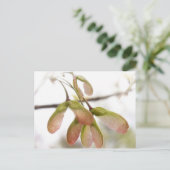 翼を持つカエデの種鞘 ポストカード (スタンド正面)