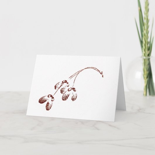 「翼を持つカエデの種」の国のグリーティングカード カード (正面)