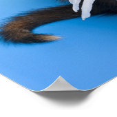 翼を持つ子猫 ポスター (角)