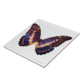 翼を持つ蝶は3つを広げました タイル (側面)