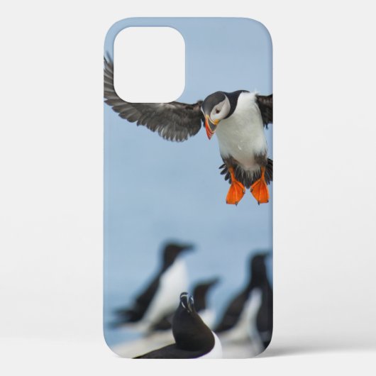翼を持つ陸地来に着陸する大西洋のパフィン Case-Mate iPhoneケース (裏面)
