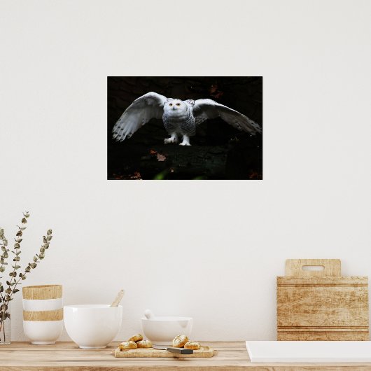 翼を開けたスノーフクロウ ポスター (キッチン)