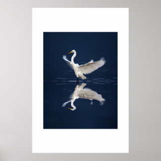 翼を青にレース ポスター