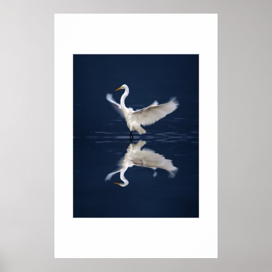 翼を青にレース ポスター (正面)