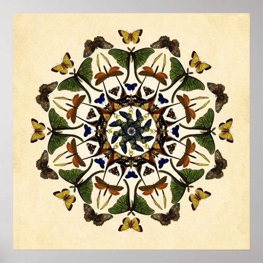 翼アースバタフライ万華鏡のように千変万化するパターンアートポスター ポスター (正面)
