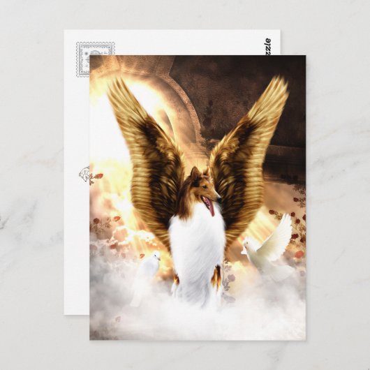 翼コリー・エンジェル犬の天国 ポストカード (正面/裏面)