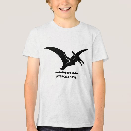 翼竜 恐竜 シルエット少年 トライブレンドＴシャツ (正面)