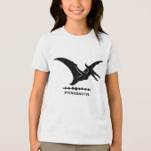 翼竜 恐竜 シルエット少年 トライブレンドＴシャツ (正面)