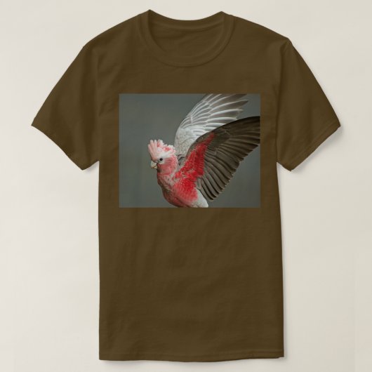 翼2 Tシャツ (デザイン正面)
