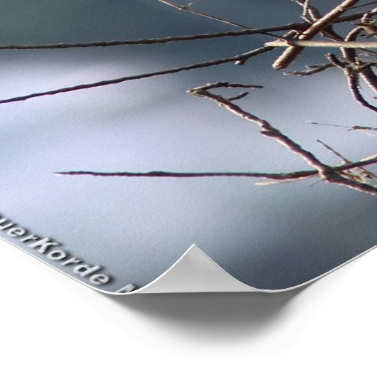 翼 ポスター (角)