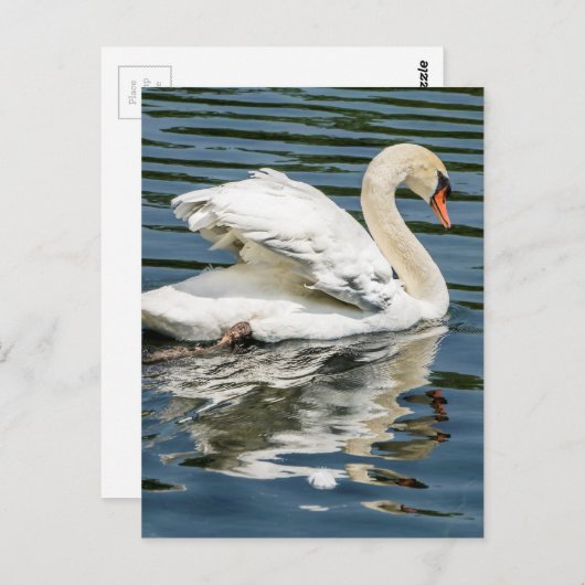 翼 ポストカード (正面/裏面)