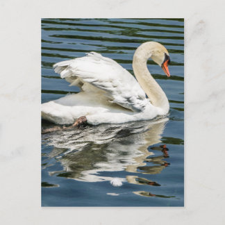 翼 ポストカード