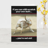 老いおもしろいヤギはまだ自分のお尻を引っ掻くことができる カード (黄色い花)