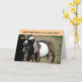 老いたヤギへのハッピーバースデー カード (黄色い花)