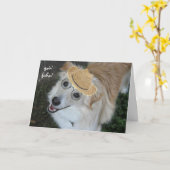 老おもしろい後、犬用眼鏡、魚釣り帽 カード (黄色い花)