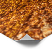 老アイオーラ。ポルトガル伝統的のビーチ ポスター (角)