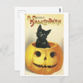 老ファッションドハロウィーンジャック – o-lantern，黒猫 ポストカード (正面/裏面)