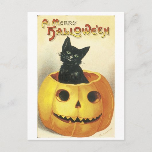 老ファッションドハロウィーンジャック – o-lantern，黒猫 ポストカード (正面)