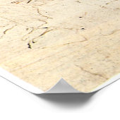 老人と水のスケッチ:レオナルド・ダ・ヴィンチ ポスター (角)