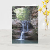 老人の夕食の滝 カード (黄色い花)