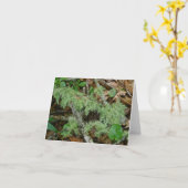 老人ひげ地衣類ノートカード カード (黄色い花)