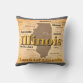 老化させたイリノイの州のプライドの地図のシルエット クッション (裏面)