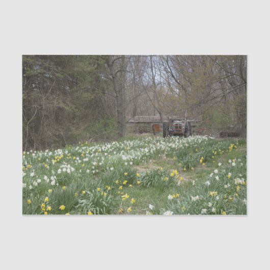 老朽化したファーム建物フラワーメドウ 薄葉紙 (正面)