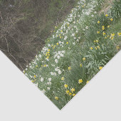 老朽化したファーム建物フラワーメドウ 薄葉紙 (詳細)