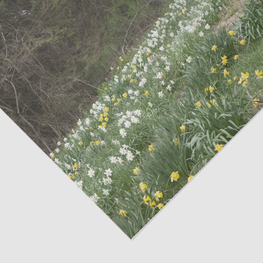 老朽化したファーム建物フラワーメドウ 薄葉紙 (詳細)