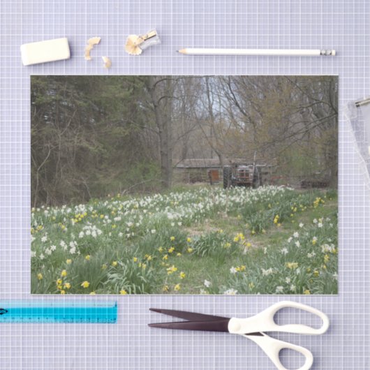 老朽化したファーム建物フラワーメドウ 薄葉紙 (クラフト)