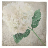 老朽化した植物性タイル – アクアとボーンV2 タイル (正面)