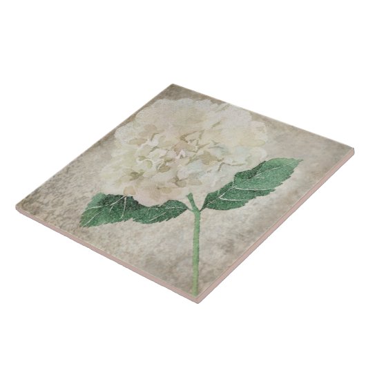 老朽化した植物性タイル – アクアとボーンV2 タイル (側面)