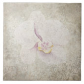 老朽化した植物性タイル – アクアとボーンV5 タイル (正面)