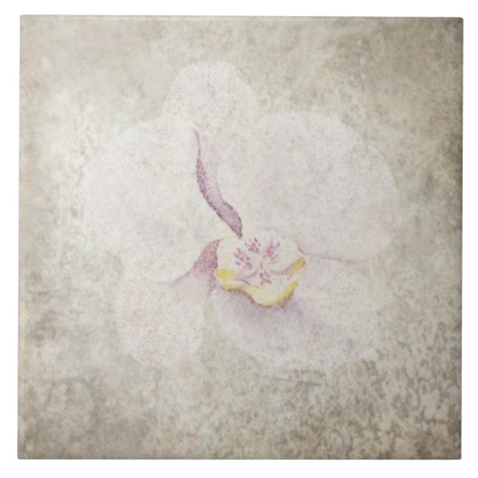 老朽化した植物性タイル – アクアとボーンV5 タイル (正面)