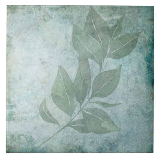 老朽化した植物性タイル – アクアとボーンV6 タイル (正面)