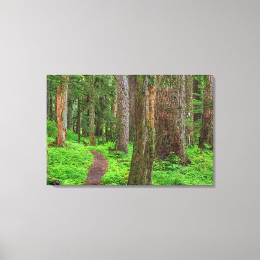 老林の風光明媚な キャンバスプリント (正面)