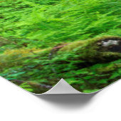 老林の風光明媚な ポスター (角)