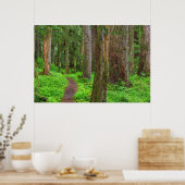 老林の風光明媚な ポスター (キッチン)