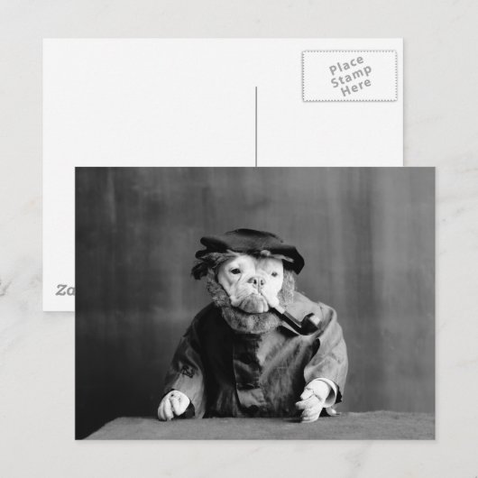 老犬1905年 ポストカード (正面/裏面)