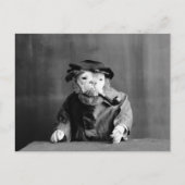 老犬1905年 ポストカード (正面)