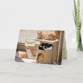 老猫を誕生日へ カード (正面)